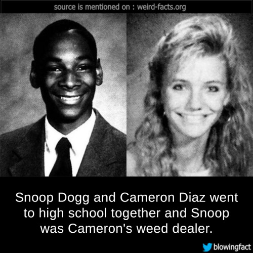 mindblowingfactz - Snoop Dogg and Cameron Diaz went to high...