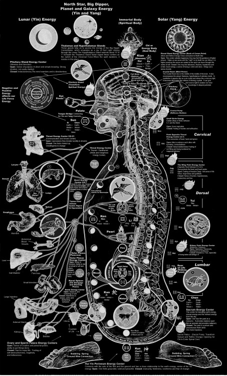 chaosophia218 - Taoist Inner Alchemy Anatomy Chart.This chart...