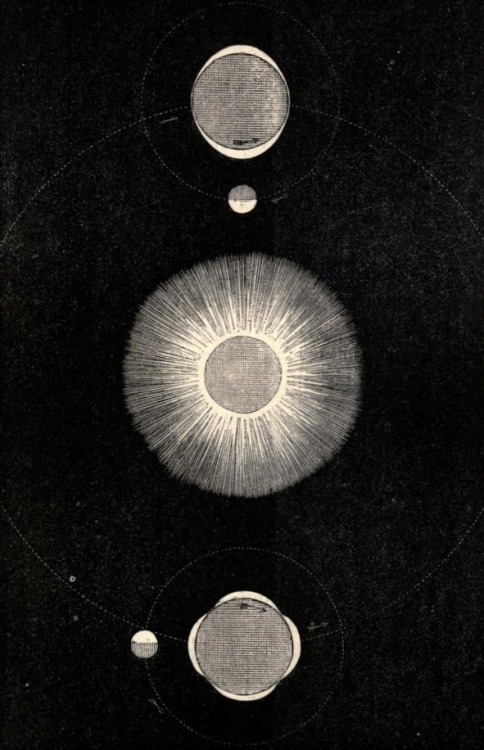 pandorasdirtylittlebox - The Phenomena of Tides | Astronomy | 1875