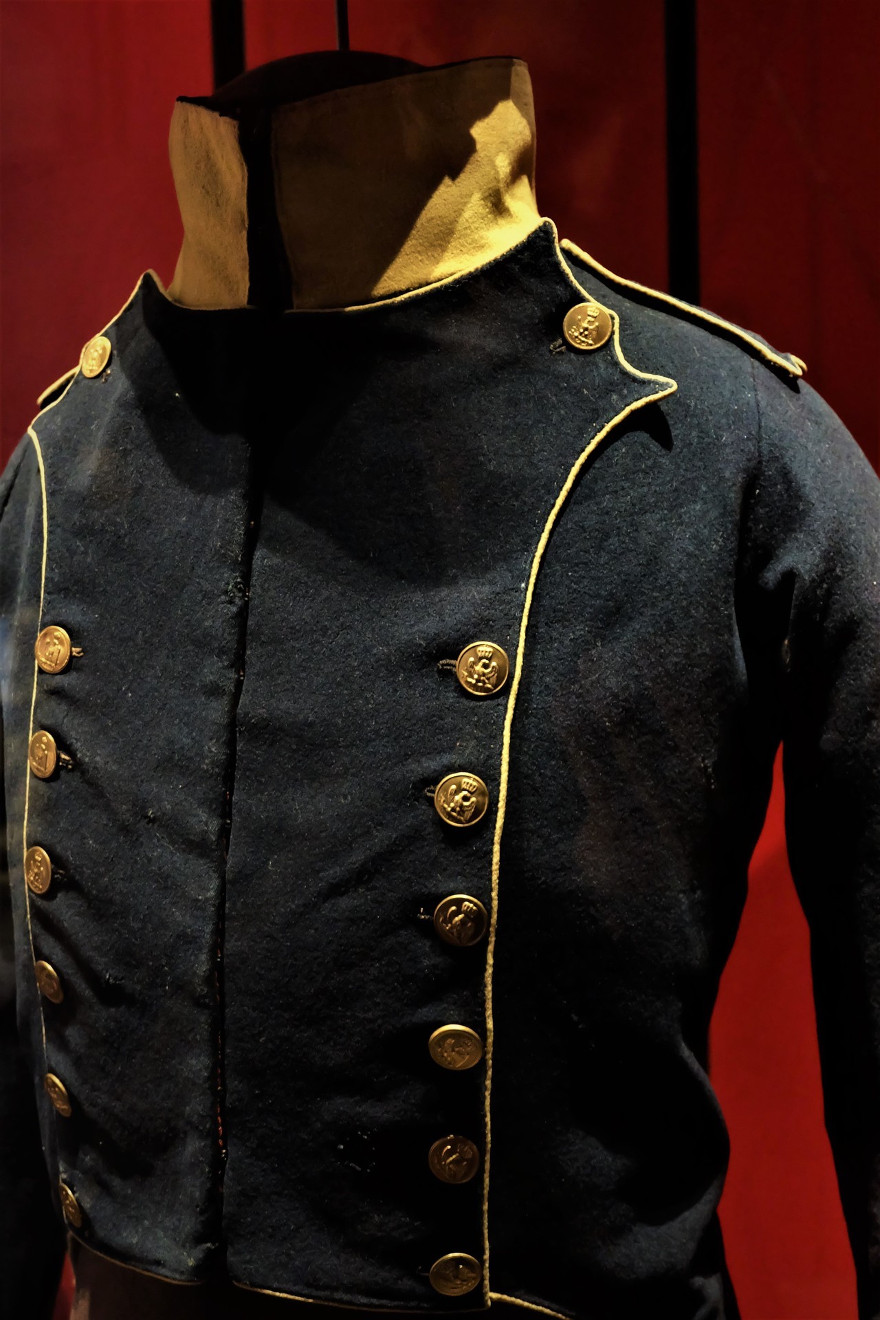 Сюртучок-с коротковат-с будет Униформа, мушкет, вольтижера, императорской, гвардии, Французской, империи, датированная, 18121815