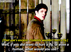 dameragnelle - Don’t be ridiculous, Merlin. – Arthur