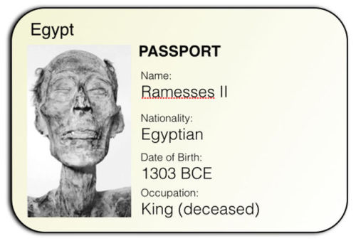 grandegyptianmuseum:When the mummy of Ramesses II was...