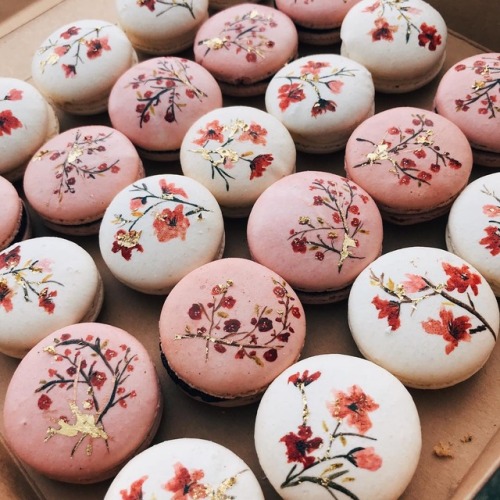 andantegrazioso - Sakura macarons | cupplets