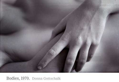 adayinthelesbianlife - adayinthelesbianlife - Donna Gottschalk’s...