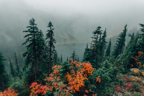 photosbygriffin:Fog in the distance