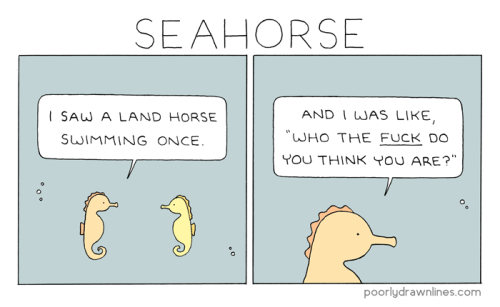 pdlcomics - SeahorseThis is perfect!