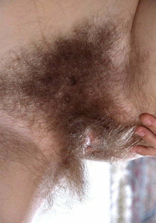 suncoastluvr - Wow…My blog features hairy, unshaved, all natural...