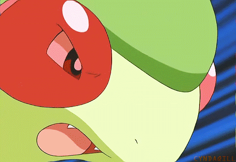 Image result for Flygon  gif