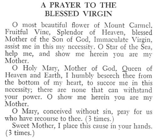 ordocarmelitarum - A prayer to the Blessed Virgin under the...