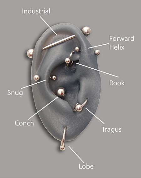 rinface - Facial and Ear piercing DiagramsJust incase anyone out...