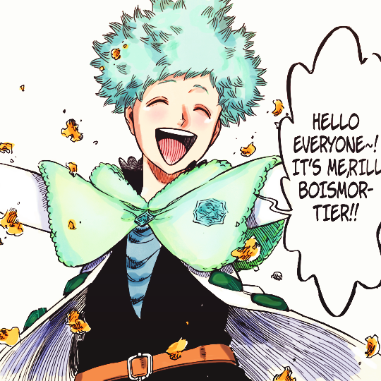  Black  Clover  characters profiles