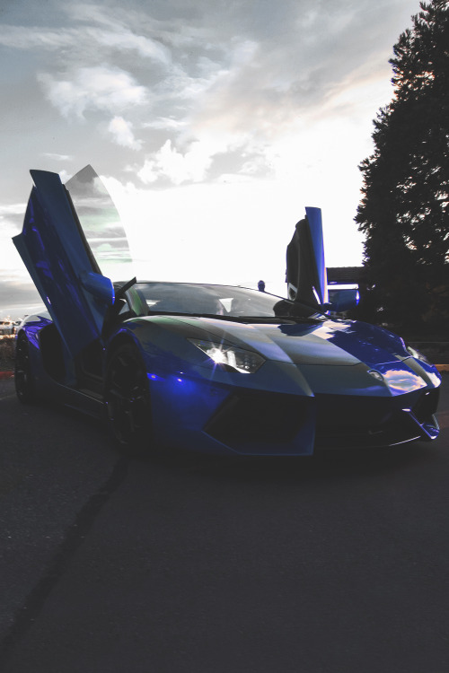Galaxy Blue Aventador | Photographer