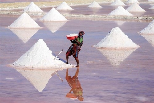 fotojournalismus - A laborer carries a salt pan in the outskirts...