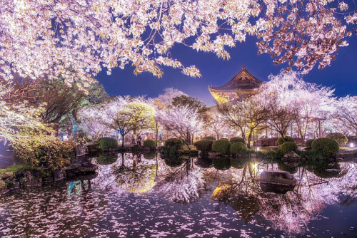 inkxlenses:Tō-ji during a bright spring evening | © Manabe...