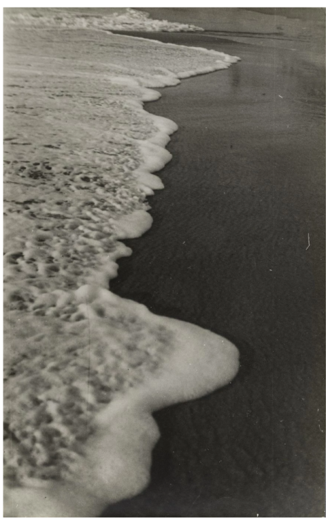 arterialtrees - JOSEF ALBERSUNTITLED (SEA FOAM AT BIARRITZ)1929