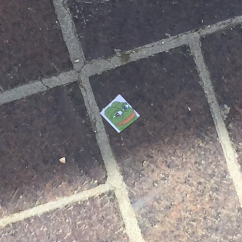 korolevcross:mayor-lys:found a rare pepe on the ground at...