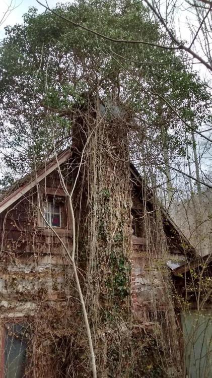 abandonedandurbex - THe 1800s Cabin I grew up in, Abandoned since...