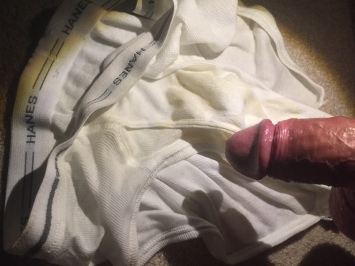 uncutdirtybriefs - cock stained Hanes tight whiteys