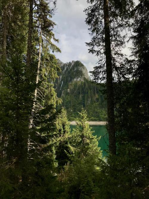 thebeautifuloutdoors - Been living in Switzerland for 3 years and...