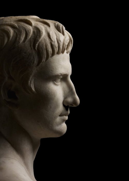 marmarinos:Augustus in profile. Detail of a bust of Augustus...