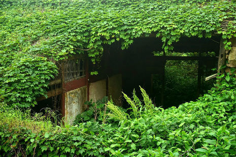 portentsofwoe:suiiko:An abandoned fishing village in China...
