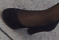 black pantyhose and heels
