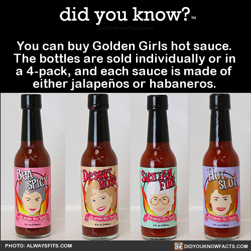 you-can-buy-golden-girls-hot-sauce-the-bottles