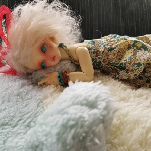 coolcatsodalite - steepingstars - Some May of Dolls photos I’ve...