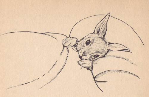 andantegrazioso - Bunny in bed by Marjorie Flack