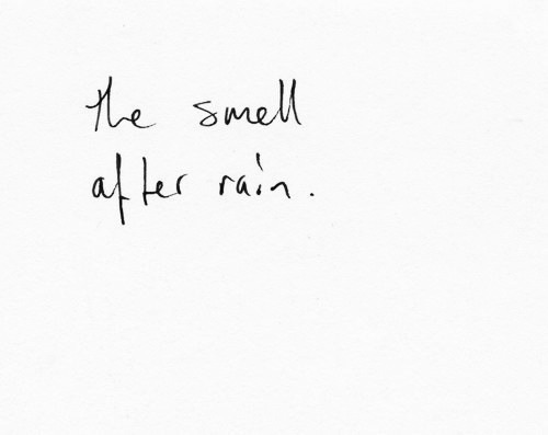 the smell after rain. there is nothing like it.  nothing more...
