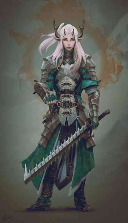 andro-womeninarmor:Elvish paladinFound here