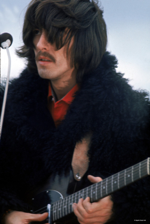 Happy birthday to George Harrison, one of the most influential...