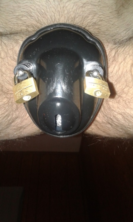 chastityregistry - My new cage