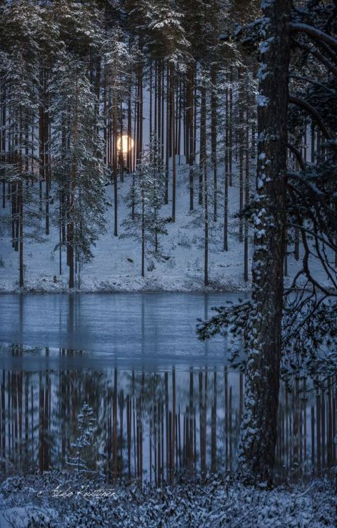 afaerytalelife - Winter Moonrise, by Asko Kuittinen.