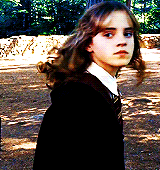 hollandroden - hermione granger + hair porn