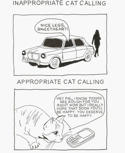 femalerolemodel:Cat Calling