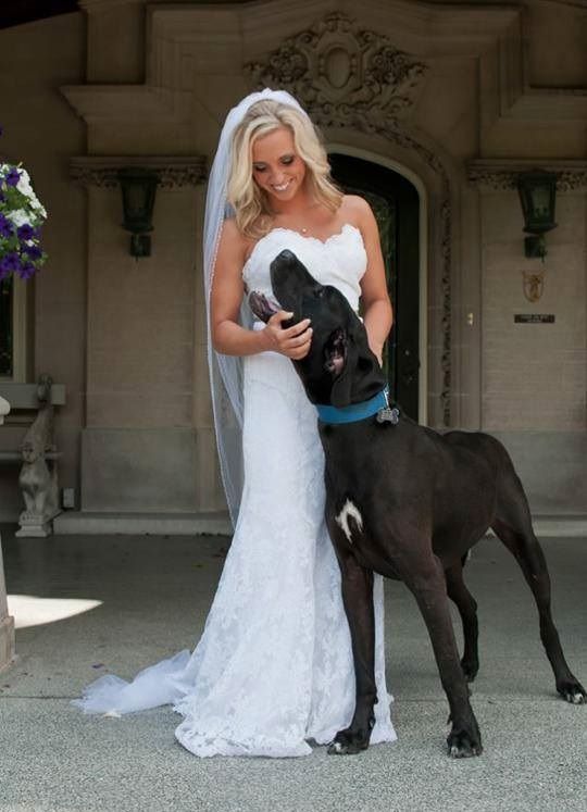 gymdean2:
“I bet she married the guy for the dog.
”