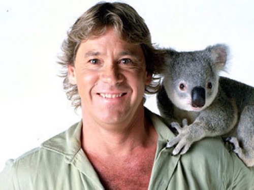 t8r-thot - Steve Irwin touched one of each thing