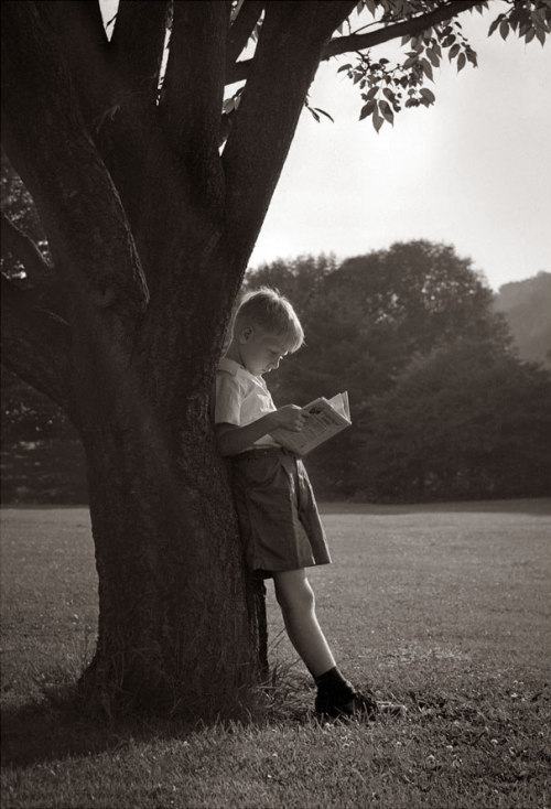 vintageeveryday - Little boy deep in his book.