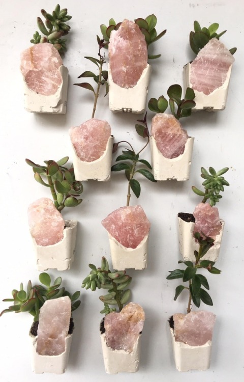 sosuperawesome - Magnetic Crystal Succulent Planters, by Emily...