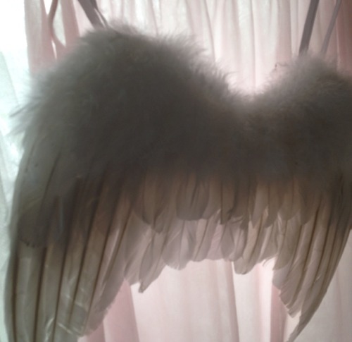 blodbad:angel wings ♡