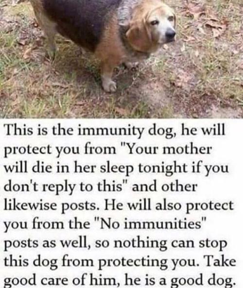 30-minute-memes - Immunity doggo