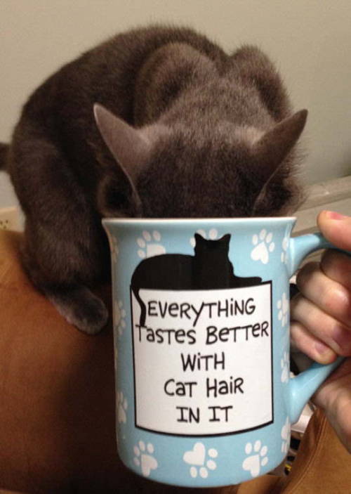 novelty-gift-ideas - Cat Hair Mug