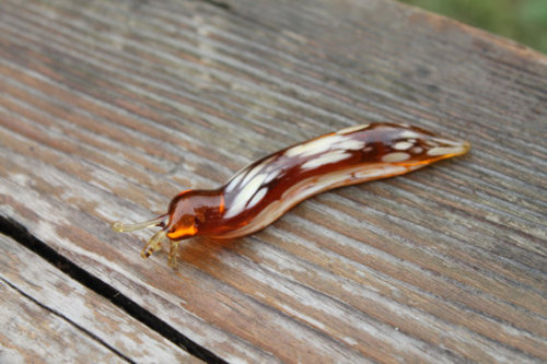 lesstalkmoreillustration - Handcrafted Spotted Slug Glass...