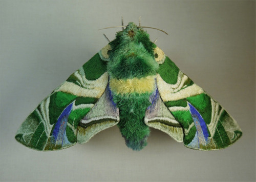 archiemcphee - Today the Department of Extraordinary Embroidery...