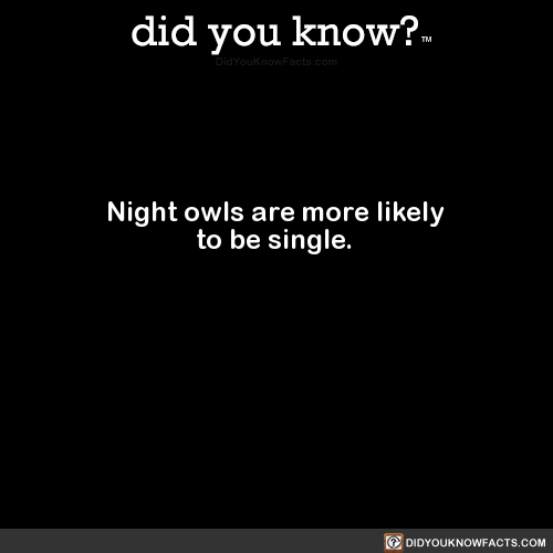 night-owls-are-more-likely-to-be-single-source