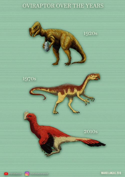 neil-gaiman:mariolanzas:DINOSAURS OVER THE YEARSThis is a...