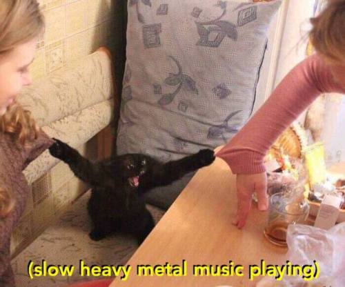 catsbeaversandducks - Via Slow Heavy Metal Music...