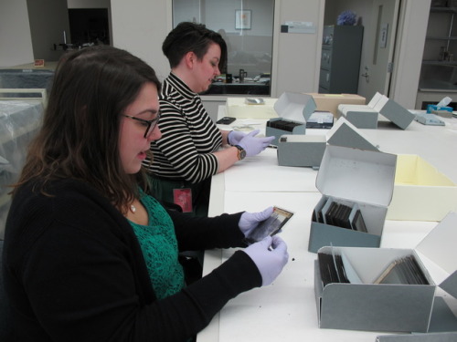 ALTERNATIVE SPRING BREAK IN THE CONSERVATION LAB AT ARCHIVES...