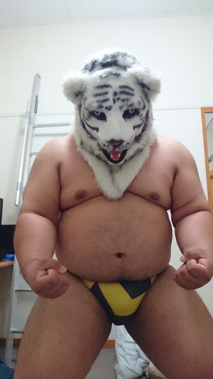 chubby-lover-tora - Jap wrestling fan